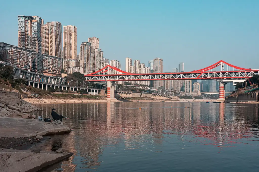 厨房用剪与园艺剪刀钢材选型差异及热处理工艺对比