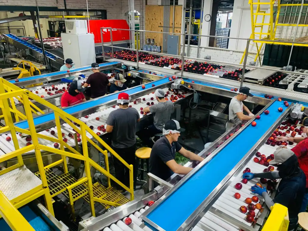厨房用品采购指南：家庭与商用场景下的刀具材质选择方案