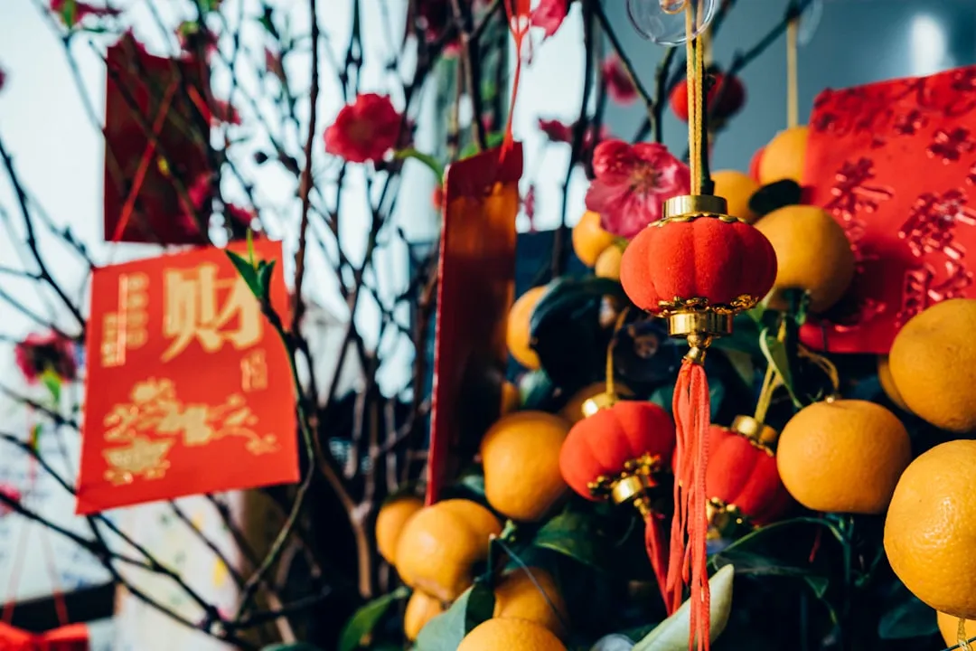 厨房剪刀与园艺剪刀的材质工艺差异及选购指南