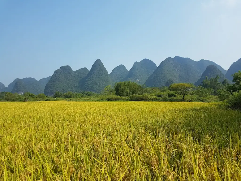 厨房用不锈钢刀具防锈性能对比与选购指南